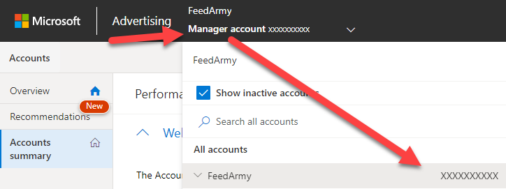 Microsoft Ads Account ID