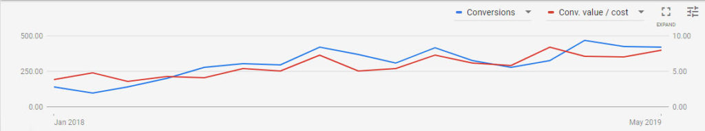 Google Ads Performance Case 1